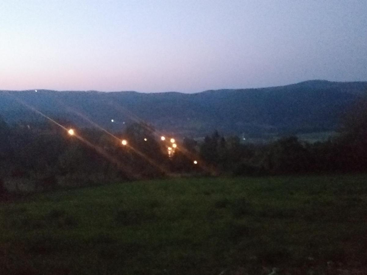 Apartman Milica Kremna Bagian luar foto